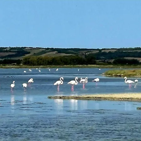 Διαμέρισμα Mare *